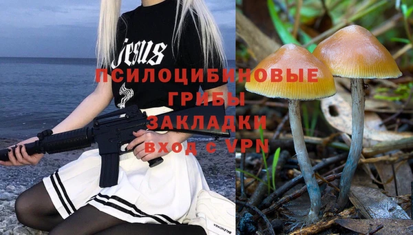 МДМА Козловка