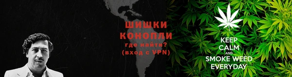 спиды Козельск