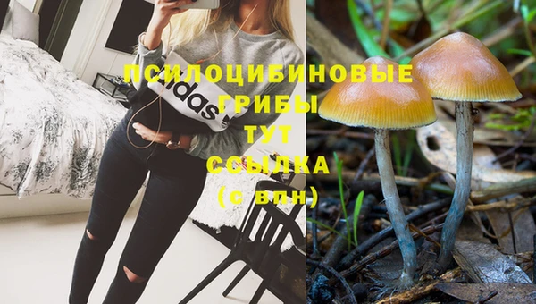 МДМА Козловка