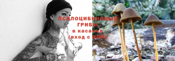 МДМА Козловка