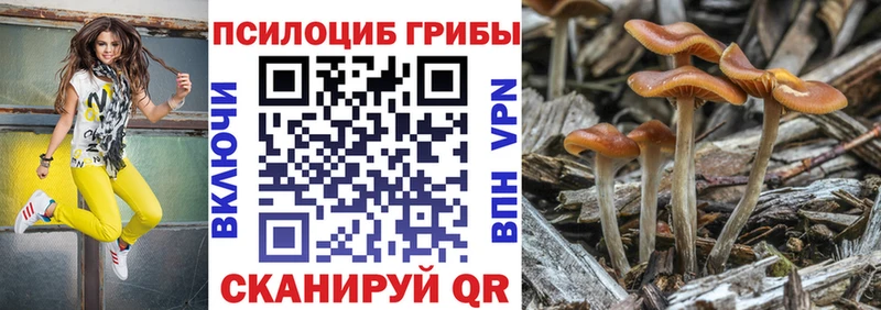 Галлюциногенные грибы GOLDEN TEACHER  Купить  Ростов 